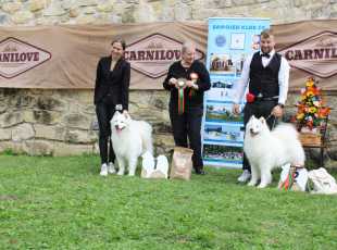 Speciální Výstava Chržín   20250927 3